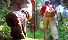 B&B Casa Roman - Zonhoven - De Teut